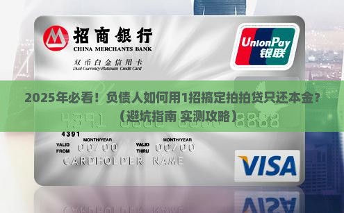 拍拍贷如何协商只还本金款项