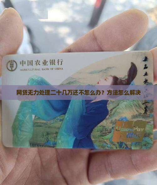 二十几万网贷还不起怎么办