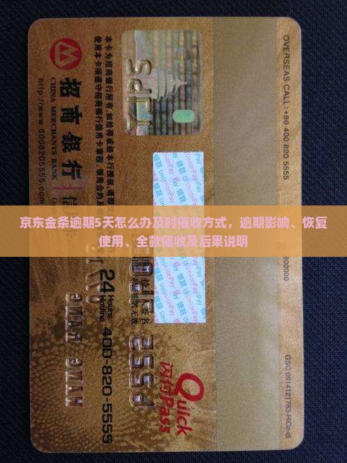 京东金条逾期5天怎么办及时催收方式