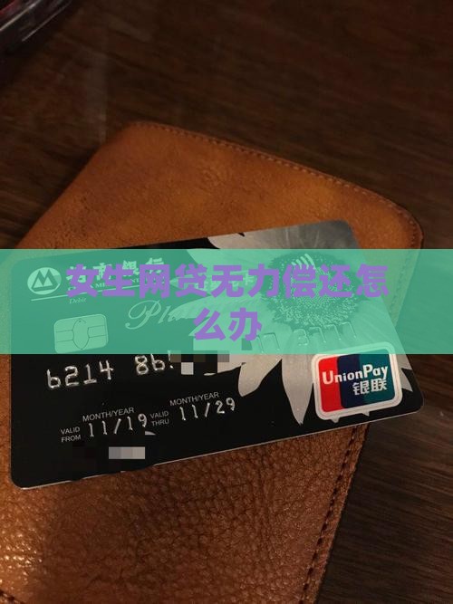 女生网贷无力偿还怎么办