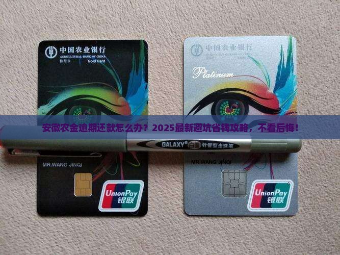 安徽农金逾期还款流程及注意事项