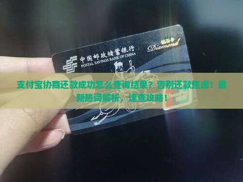 支付宝协商还款成功怎么查询结果