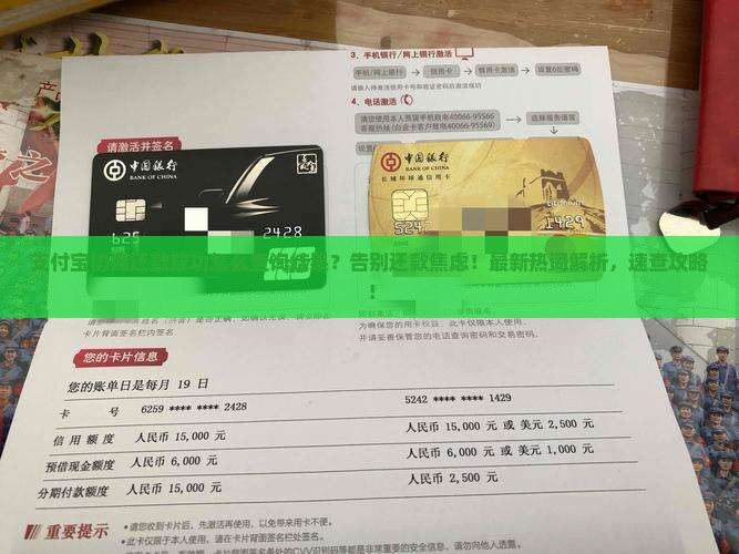 支付宝协商还款成功怎么查询结果