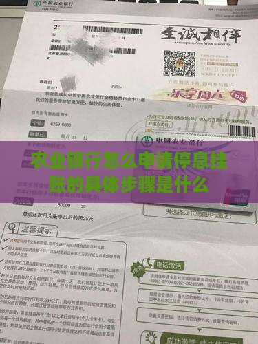 农业银行怎么申请停息挂账的具体步骤是什么