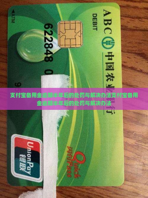 支付宝备用金逾期半年后的处罚与解决办法