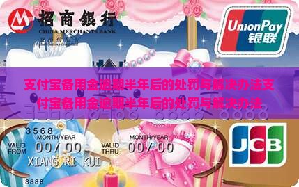 支付宝备用金逾期半年后的处罚与解决办法