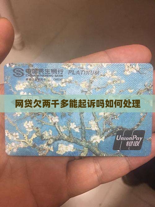 网贷欠两千多能起诉吗如何处理