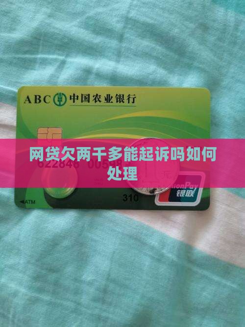 网贷欠两千多能起诉吗如何处理