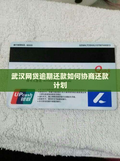 武汉网贷逾期还款如何协商