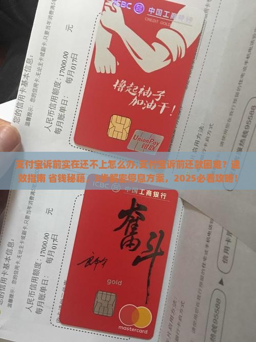 支付宝诉前实在还不上怎么办