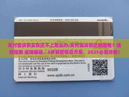 支付宝诉前实在还不上怎么办