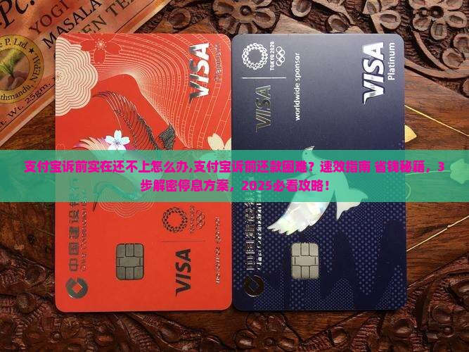 支付宝诉前实在还不上怎么办