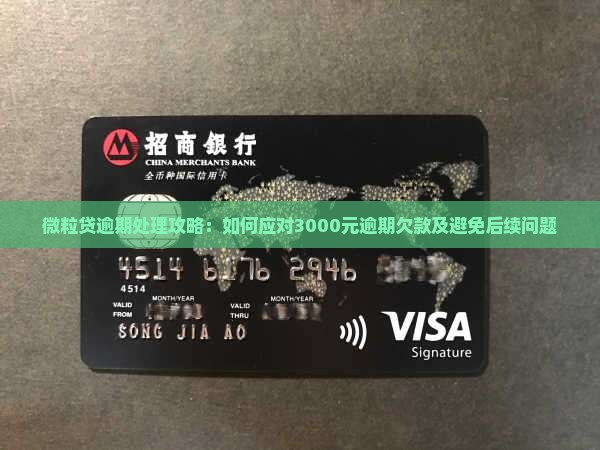 微粒贷逾期处理攻略：如何应对3000元逾期欠款及避免后续问题