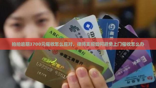 拍拍逾期3700元催收怎么应对，律师支招如何避免上门催收怎么办