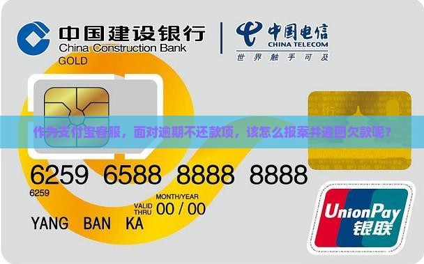 支付宝逾期不还报案如何处理
