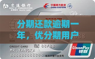 优分期一年未还款