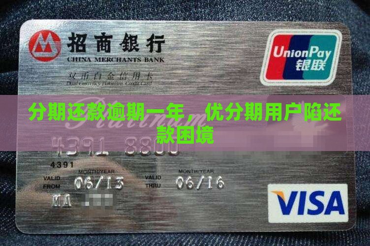 优分期一年未还款