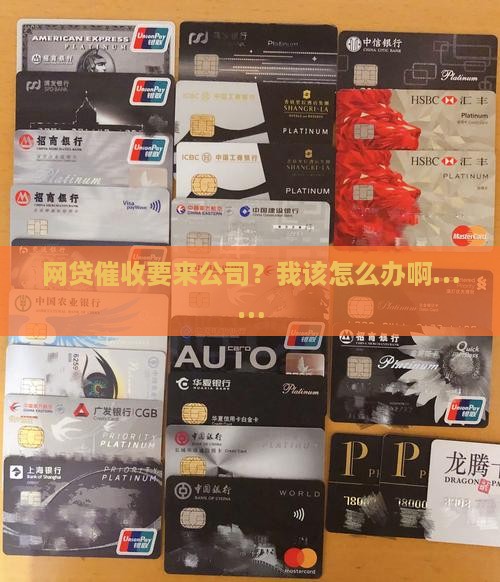 网贷催收发短信要来公司怎么办