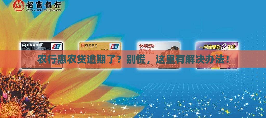 农行惠农贷逾期怎么办处理方式