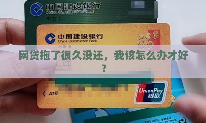 网贷长时间逾期怎么处理