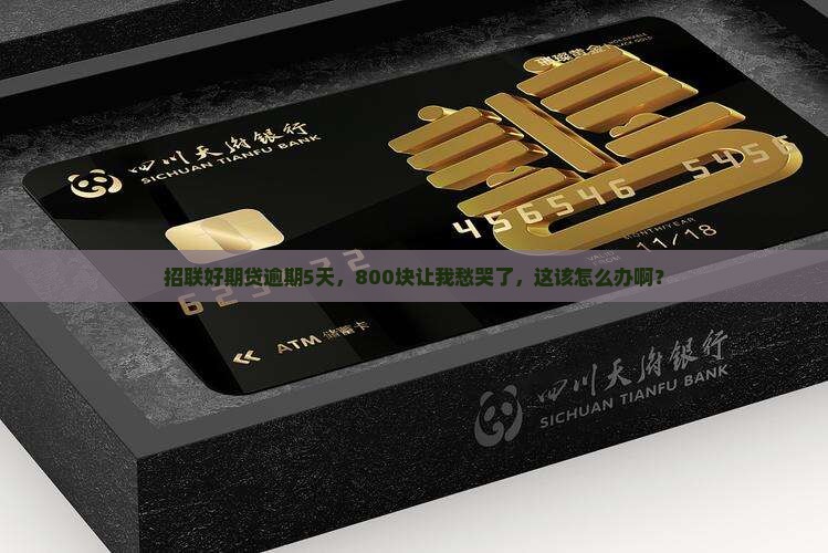 招联好期贷800逾期5天如何处理
