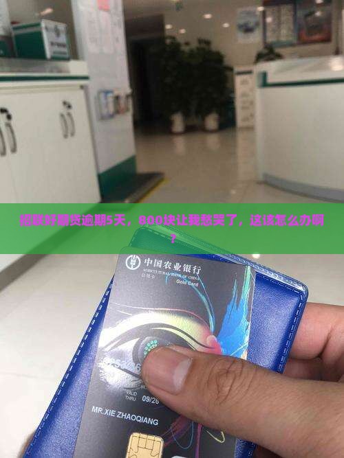 招联好期贷800逾期5天如何处理