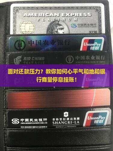 怎么去和银行协商停息挂账