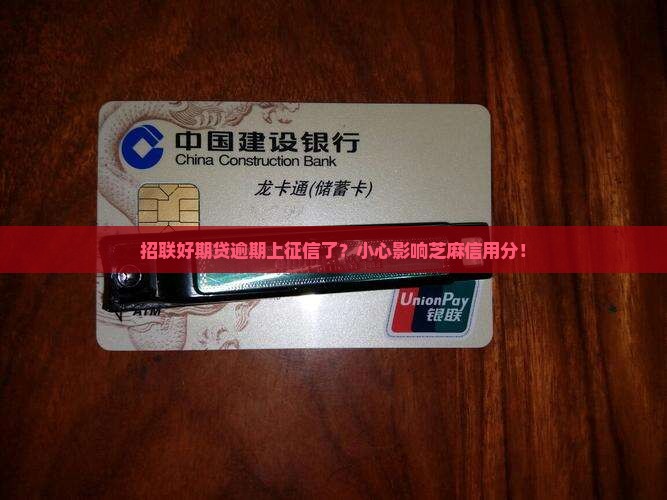 招联好期贷逾期上征信