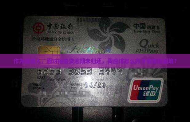 拍拍贷逾期未归还应该怎么处理