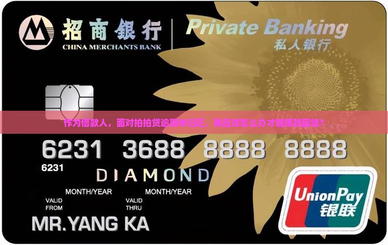 拍拍贷逾期未归还应该怎么处理