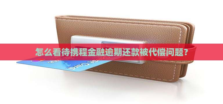 携程金融逾期还款被代偿