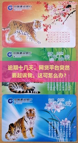 网贷逾期十几天说要起诉我