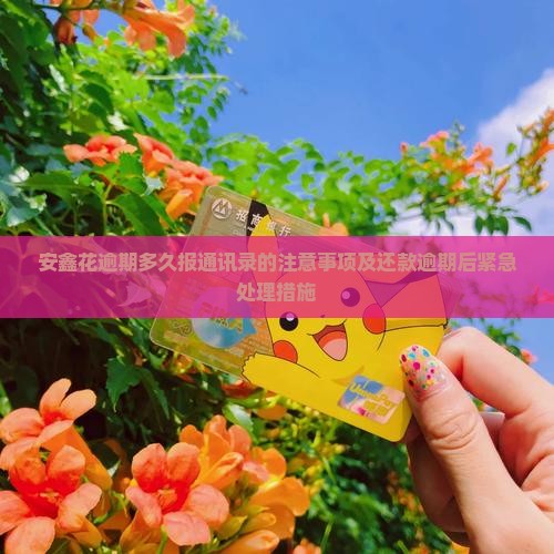 安鑫花逾期多久报通讯录的注意事项