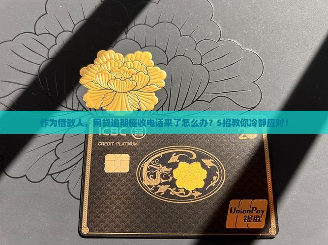 网贷逾期之后催收怎么办