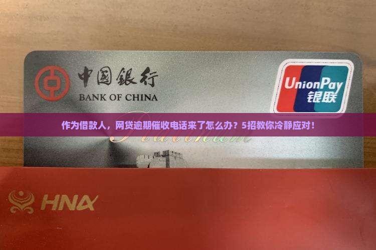 网贷逾期之后催收怎么办