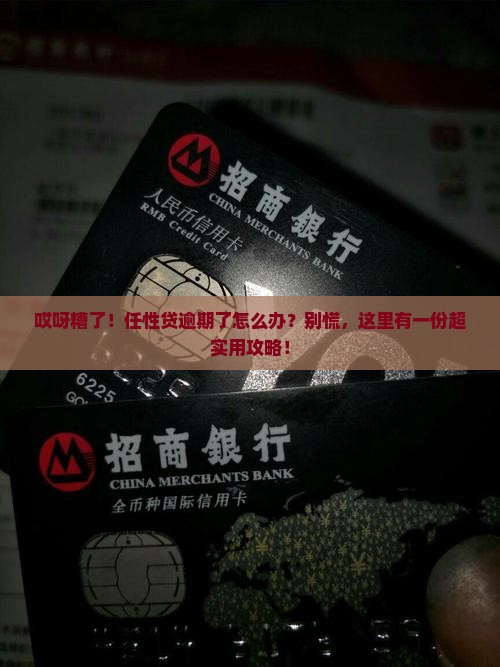 任性贷逾期还款应该怎么处理