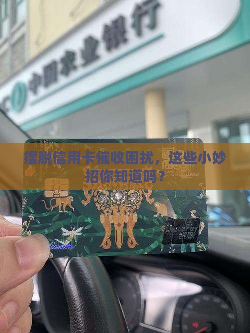 信用卡如何避免催收