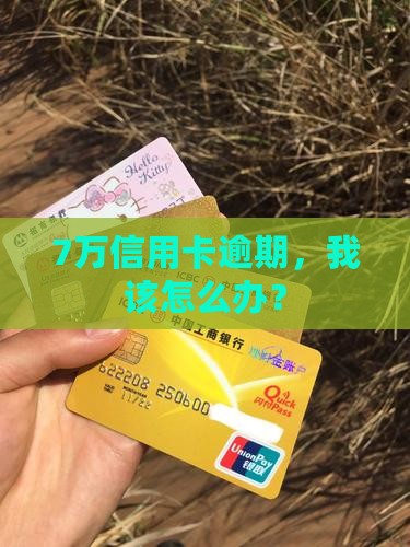 欠信用卡7万逾期后果