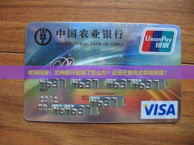 兰州银行逾期还款方式有哪些