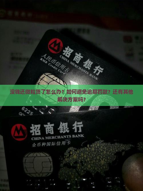 没钱还微粒贷了怎么办避免逾期罚款