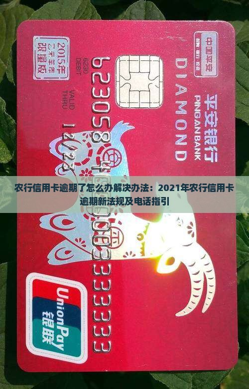 农行信用卡逾期了怎么办解决办法
