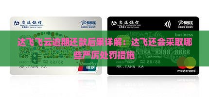 达飞云贷还不上怎么办处罚措施是什么