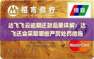 达飞云贷还不上怎么办处罚措施是什么