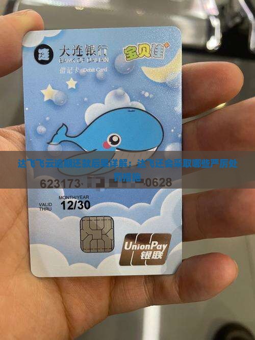 达飞云贷还不上怎么办处罚措施是什么