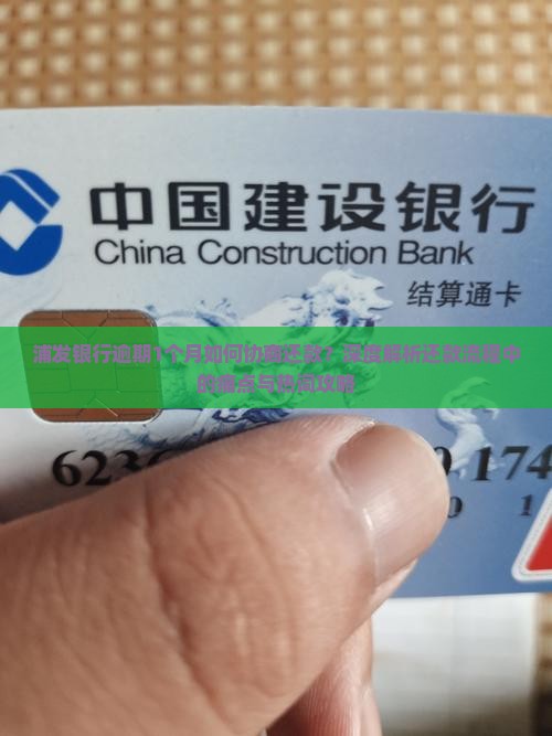 浦发逾期1个月协商还款流程详解