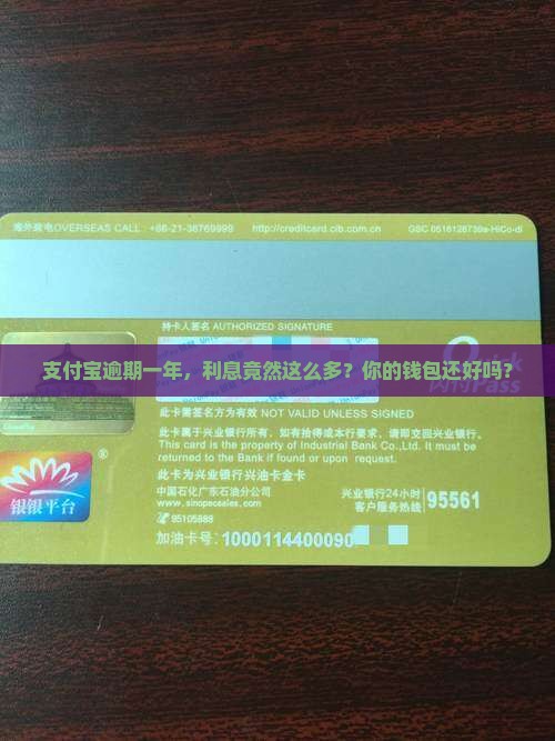 支付宝逾期一年利息需要缴纳多少