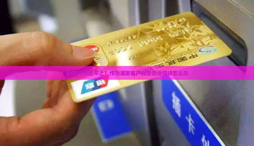 欠银行30万无力偿还浦发