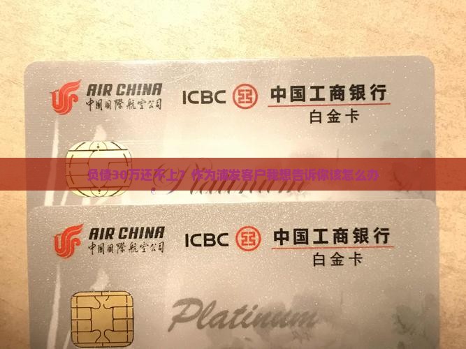 欠银行30万无力偿还浦发