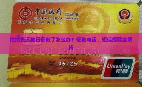拍拍贷还款日催款了怎么办