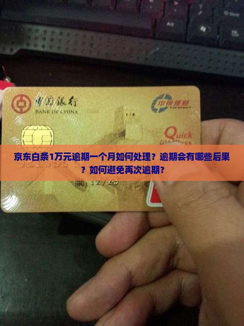 京东白条1万逾期一个月如何处理